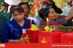 Ngày gặp lại