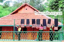 Trải nghiệm Khu du lịch Rừng Vàng