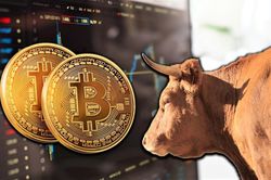 Thị trường biến động dữ dội, Bitcoin lao dốc về 9.000 USD
