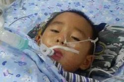 Bé 10 tuổi mắc ung thư dạ dày do chủ quan của người lớn, chuyên gia chỉ rõ 4 điều bố mẹ cần biết để tránh lây bệnh cho con