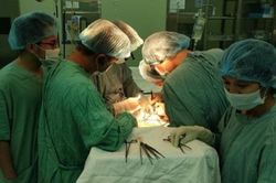 6 tiếng 'cân não' với ca ghép thận tự thân đầu tiên ở miền Trung