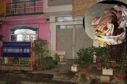 Phát hiện trẻ sơ sinh bị bỏ rơi còn nguyên dây rốn trước cửa nhà dân