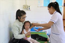 Phú Yên khẩn trương khống chế sốt xuất huyết