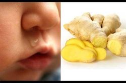Con ho như cuốc kêu, sổ mũi nặng đến đâu cũng khỏi sau 3 ngày khi dùng thứ này