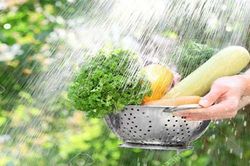 Cách ăn rau nhiều người thích nhưng lại rước vi khuẩn vào cơ thể, 'phá hoại' đường ruột
