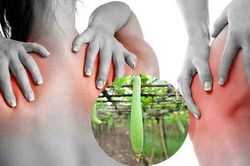 Ăn mướp theo cách này còn 'bổ hơn uống nhân sâm', ai cũng 'tiếc đứt ruột' vì không biết sớm hơn