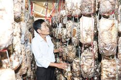 Làm giàu cho mình, làm giàu cho quê hương