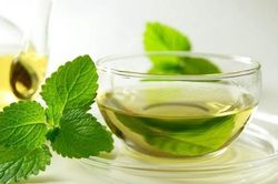 Khảo sát quá trình chế biến trà túi lọc bạc hà (Mentha piperita L.)