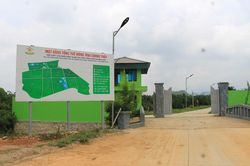 Thạch Thành (Thanh Hóa): Đẩy mạnh tái cơ cấu ngành nông nghiệp, xây dựng vùng chuyên canh cây có múi chất lượng cao