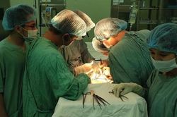 Bệnh viện ghép thành công ca thận tự thân nữ bệnh nhân