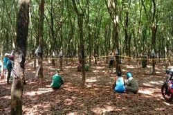Bình Phước: Điều tra vụ 2 người đàn ông tử vong bất thường