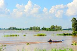 Cánh đồng nước ngập
