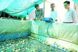 Chung tay xây dựng nông thôn mới ở Sóc Trăng