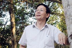 Cho tôi quay lại, không đi nữa