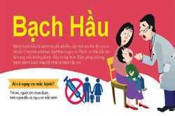Chủ động triển khai các biện pháp phòng, chống bệnh bạch hầu tại Lâm Đồng