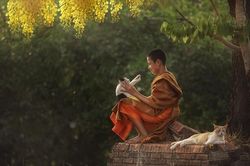 Cách nuôi lớn tâm từ