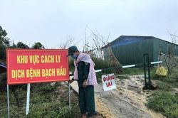 Bạch hầu lan khắp Tây Nguyên, Bộ Y tế lập 4 tổ công tác khẩn trương dập dịch