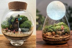 'Nhốt' vườn cây vào chai thủy tinh, 2 cô gái nổi danh trên mạng