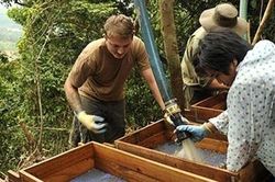 Dấu ấn 25 năm quan hệ Việt – Mỹ