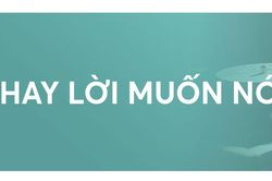 Chương trình ca nhạc Nếu thời gian trở lại