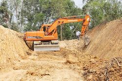 Thu nhập bình quân của huyện Na Rì (Bắc Kạn) đạt hơn 17 triệu đồng/người/năm