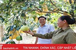 Hà Tĩnh đề cử 3 sản vật tham gia hành trình quảng bá TOP đặc sản Việt Nam