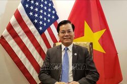 Hợp tác Việt Nam-Hoa Kỳ đạt thành tựu và tầm mức ấn tượng