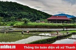 Đi cấy trên nương miền biên viễn