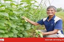 Ứng dụng khoa học - công nghệ để phát triển bền vững