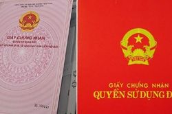 Ông bà ngoại có thể tặng nhà, sang tên sổ đỏ cho cháu 14 tuổi?