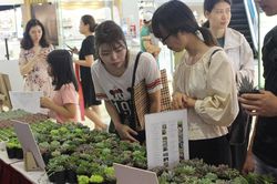 'Đổi rác lấy cây': Hành động đẹp góp sức bảo vệ môi trường
