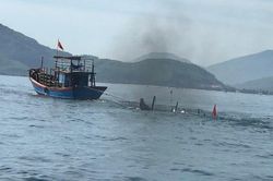 Bị tàu lạ đâm chìm khi đang câu mực, bà chết, cháu mất tích