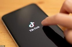 Người dùng lo TikTok sụp đổ do lượt 'thích' video bất ngờ biến mất