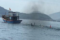 Va chạm giữa tàu cá và ghe câu mực trong đêm làm một người tử vong