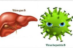Hỗ trợ điều trị viêm gan bằng y học cổ truyền