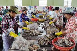 Trà Vinh bổ sung danh mục các dự án ưu tiên đầu tư