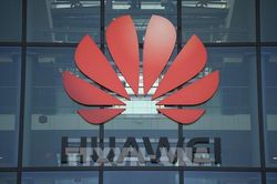 Anh dự kiến loại bỏ các thiết bị mạng 5G của Huawei trong 5 năm tới