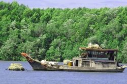 Dự án lấn biển Cần Giờ 2.780 ha: Phải tuân thủ khung pháp lý của UNESCO ra sao?