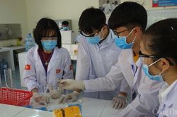 Việt Nam chuẩn bị cho cuộc thi Tay nghề thế WorldSkills 2021