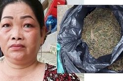 Sang Campuchia mua cần sa mang về Việt Nam bán kiếm lời