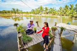 'Viên ngọc thô' Cồn Hô
