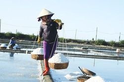 Nhọc nhằn nghề muối Cát Minh