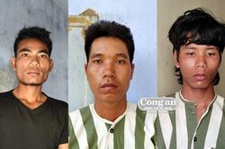 Bắt 3 'bò tặc'