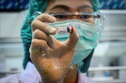 Thái Lan thử nghiệm vaccine phòng COVID-19 trên loài khỉ
