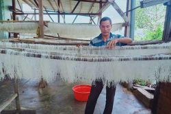 Đắk Lắk: Làm giàu từ nguồn lúa gạo địa phương