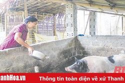 Nhân rộng mô hình giảm nghèo bền vững