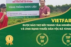 Trung tâm dược liệu Vietfarm: Điểm sáng về nuôi trồng và phát triển dược liệu sạch