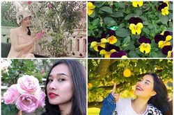 Mãn nhãn sân vườn trong biệt thự bạc tỷ của các Hoa hậu Việt