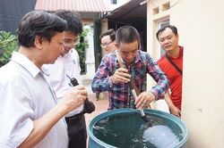 Hà Nội phát hiện 868 ca mắc sốt xuất huyết