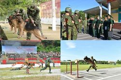 Chó nghiệp vụ Biên phòng Việt Nam sẽ thi tài tại Army Games 2020